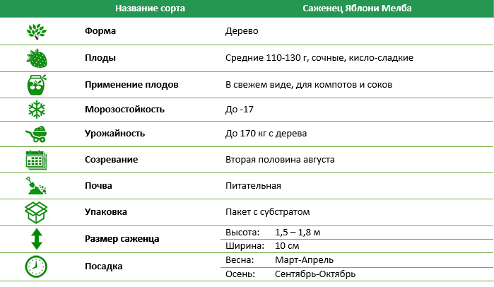 Яблуня Мелба