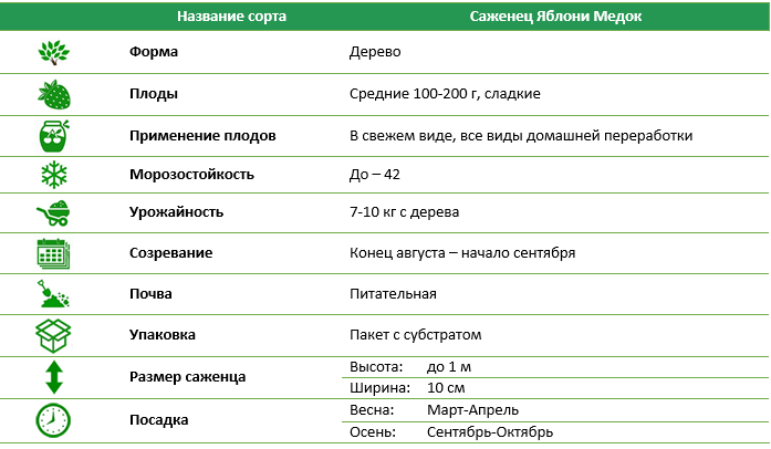 Яблоня колоновидная Медок