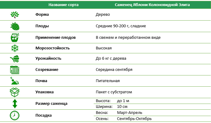 Яблуня колоновидна Еліта