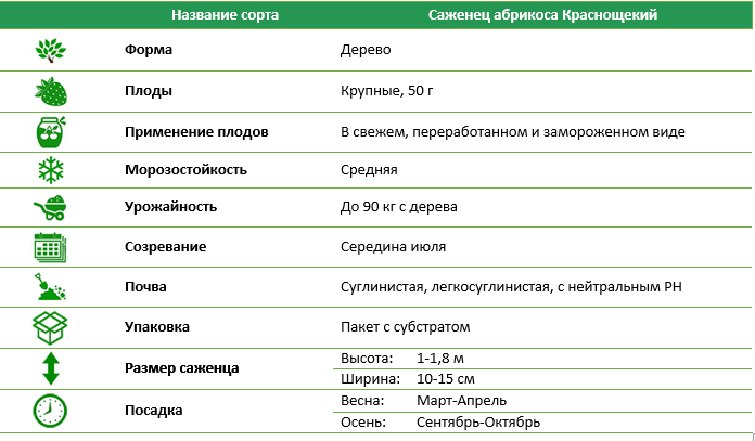 Абрикос Краснощекий