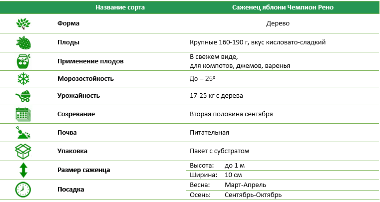 Яблуня Чемпіон