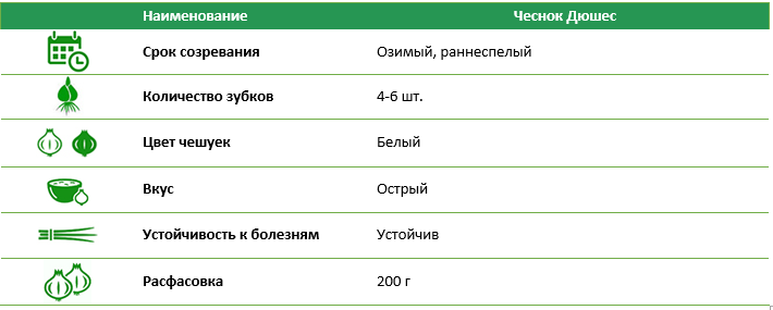 Чеснок Дюшес белый 200 г Голландия