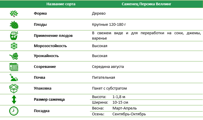Персик Веллінг