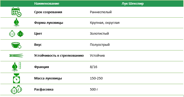 Лук севок Шекспир (Shakespeare) 1 шт (0,5 кг)