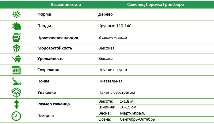 Персик Грінсборо