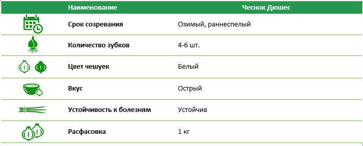 Чеснок Дюшес (белый) 1 кг Голландия