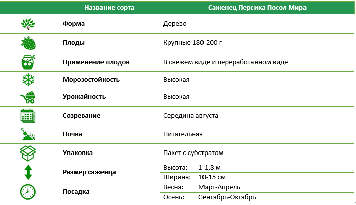 Персик Посол Миру