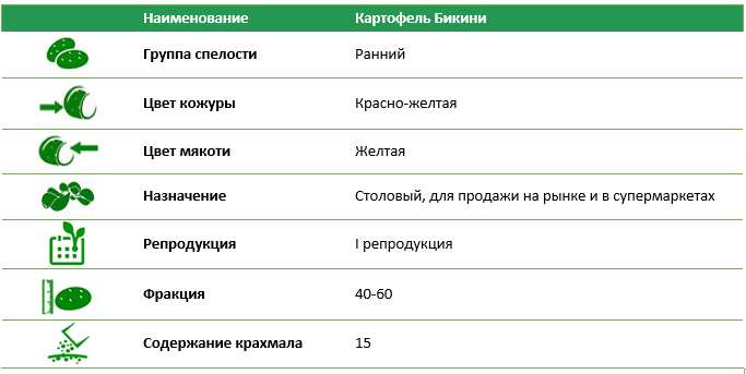 Семенной картофель Бикини 1 репродукция фракция 40-60 1 кг
