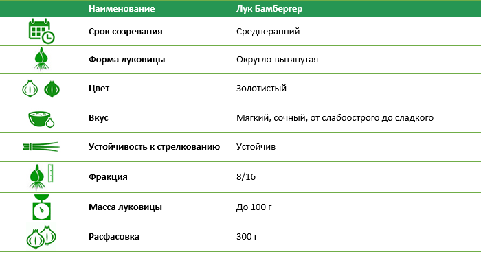Лук-севок Бамбергер 300 г