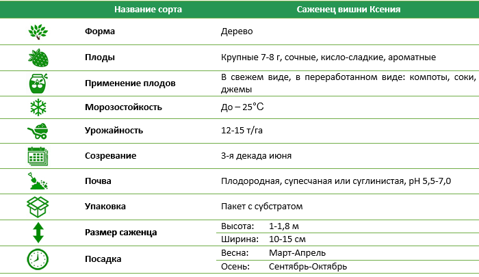 Вишня Ксенія