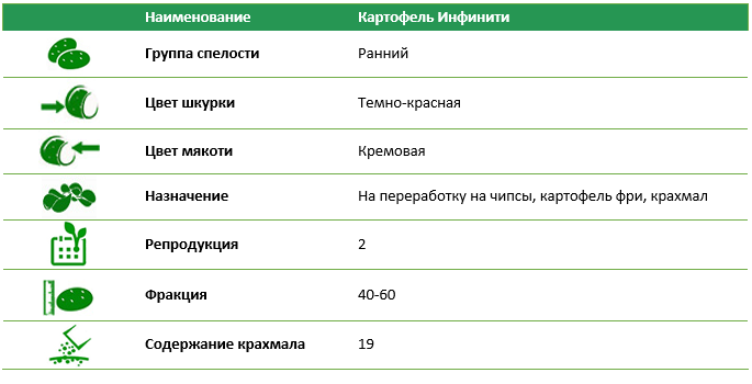 Семенной картофель Инфинити 2 репродукция фракция 40-60 1 кг