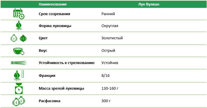 Лук-севок Вулкан 300 г