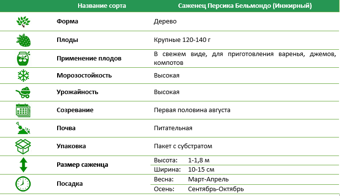Персик Бельмондо (інжировий)