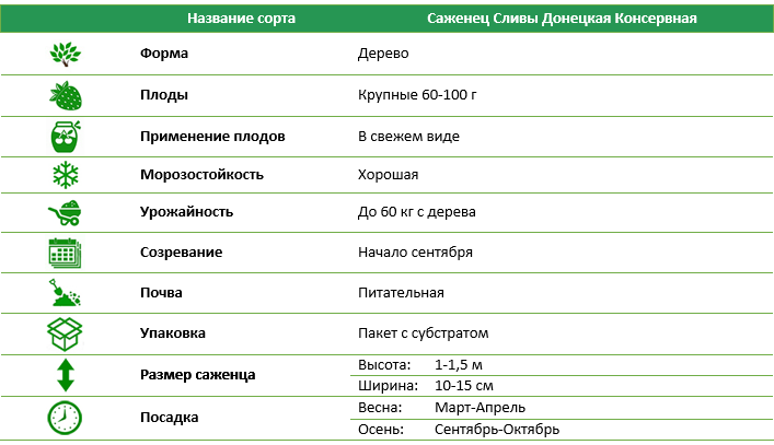 Слива Донецька Консервна