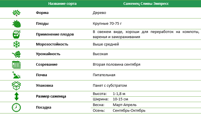 Слива Емпресс