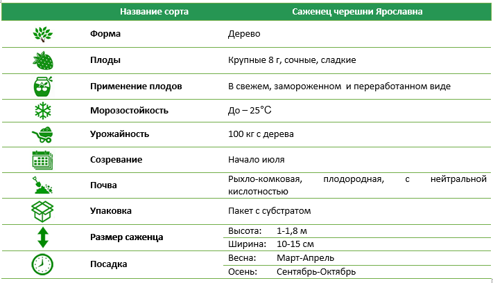 Черешня Ярославна