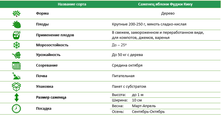 Саженец Яблони Фуджи Куку