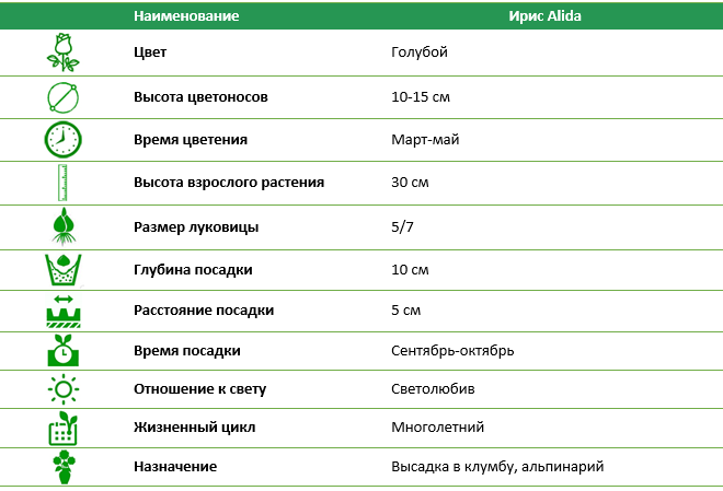 Ирис Alida