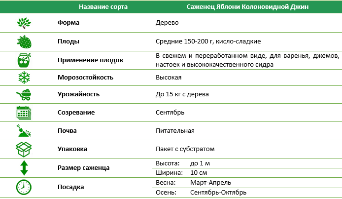 Яблоня колоновидная Джин
