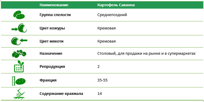 Картофель Саванна (2 репродукция), фракция 35-55 1 кг