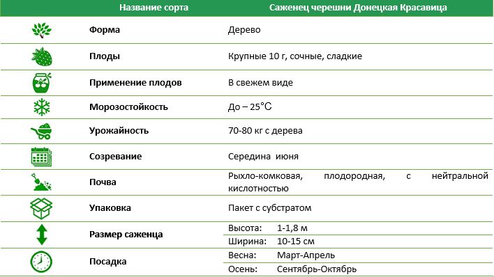Черешня Донецька красуня