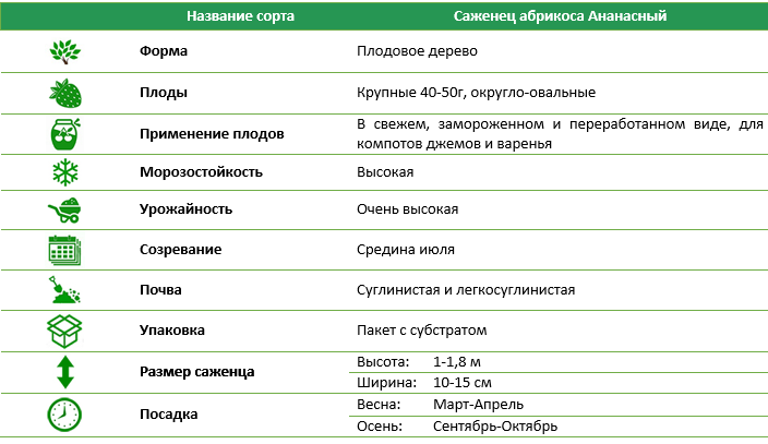Абрикос Ананасовий