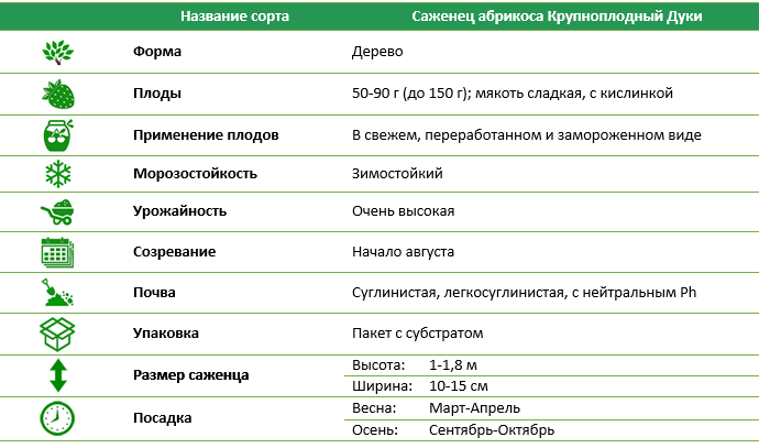 Абрикос Великоплідний Дуки