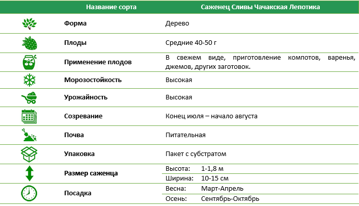 Слива Чачакская Лепотіка