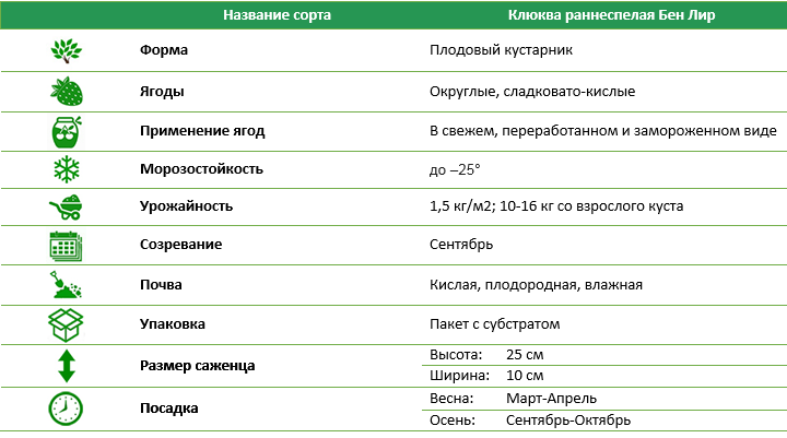 Клюква раннеспелая Бен Лир