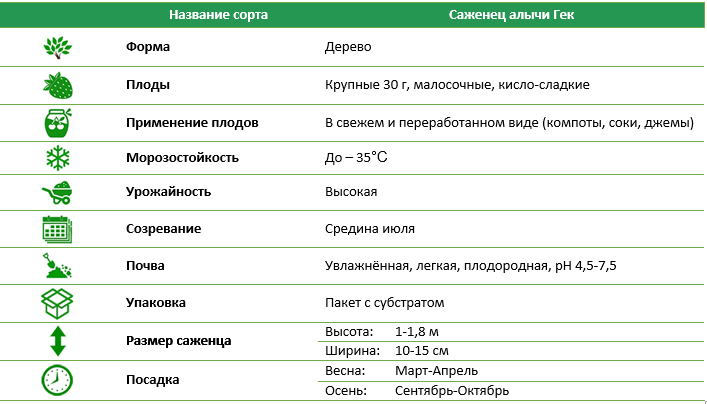 Саджанець аличі Гек