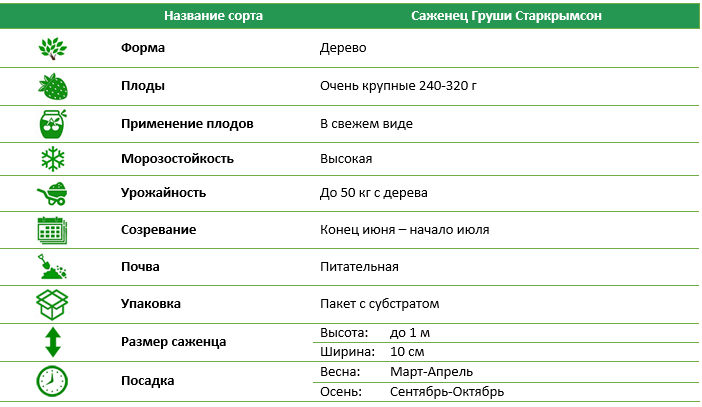 Груша Старкримсон