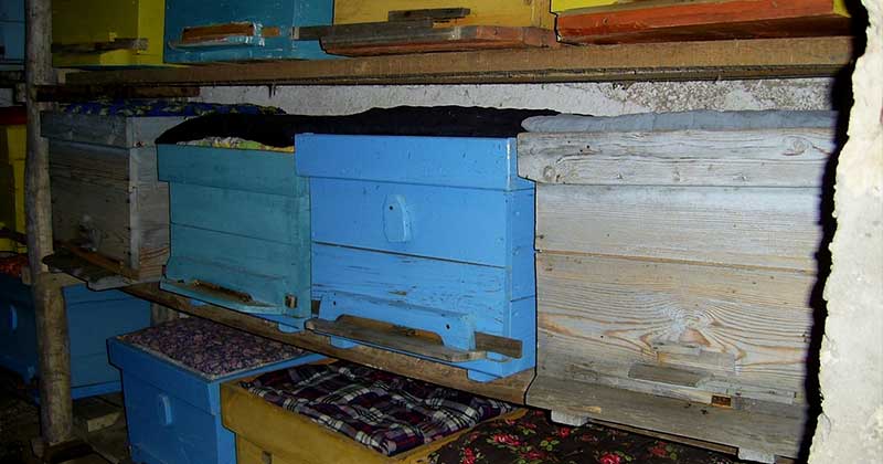 Що потрібно зробити на пасіці восени